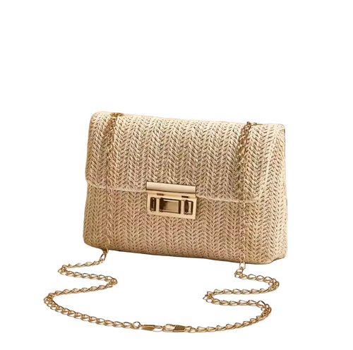 Chic Straw Woven Handbag