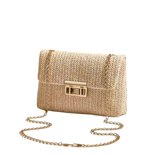 Chic Straw Woven Handbag